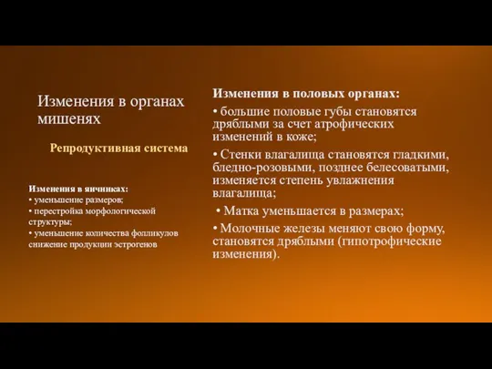 Изменения в органах мишенях Изменения в половых органах: • большие половые губы