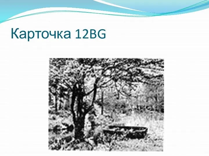 Карточка 12BG