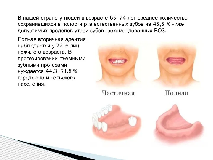 В нашей стране у людей в возрасте 65–74 лет среднее количество сохранившихся