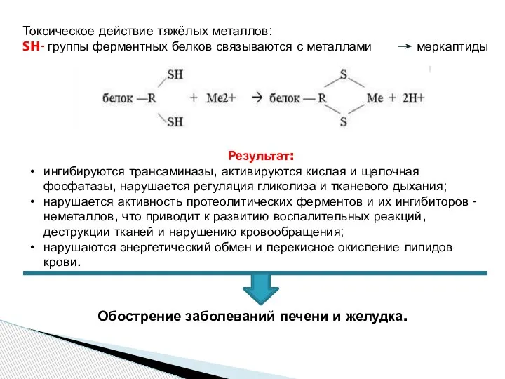 Токсическое действие тяжёлых металлов: SH- группы ферментных белков связываются с металлами меркаптиды