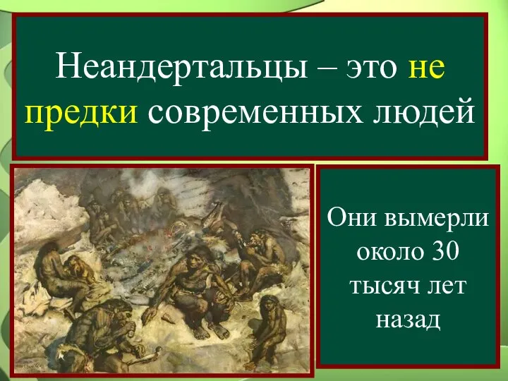 Неандертальцы – это не предки современных людей Они вымерли около 30 тысяч лет назад