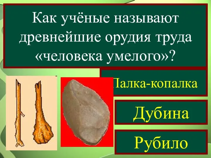 Как учёные называют древнейшие орудия труда «человека умелого»? Палка-копалка Дубина Рубило