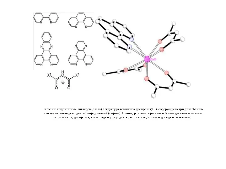 Строение бидентатных лигандов (слева). Структура комплекса диспрозия(III), содержащего три дикарбанил-анионных лиганда и