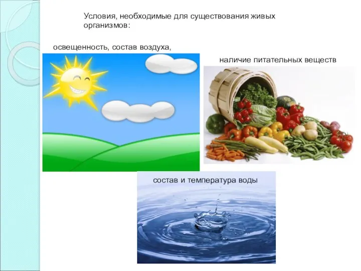 Условия, необходимые для существования живых организмов: освещенность, состав воздуха, наличие питательных веществ состав и температура воды