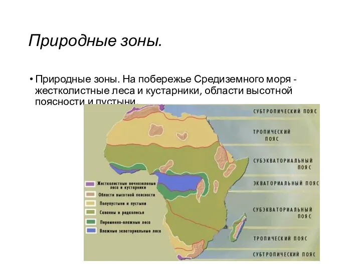 Природные зоны. Природные зоны. На побережье Средиземного моря - жестколистные леса и