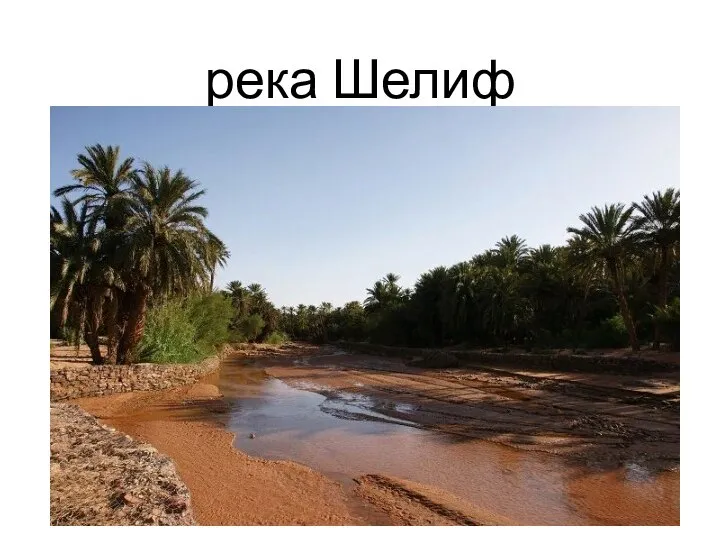 река Шелиф