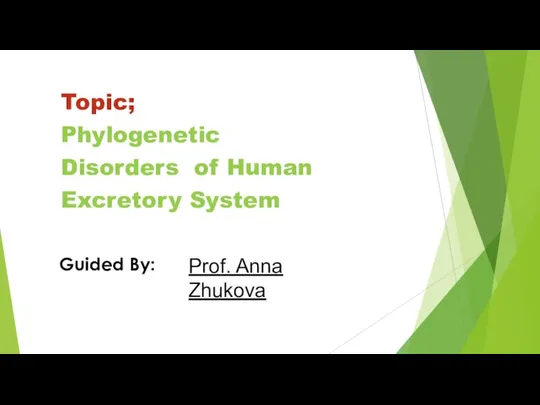 Topic; Phylogenetic Disorders of Human Excretory System Guided By: Prof. Anna Zhukova