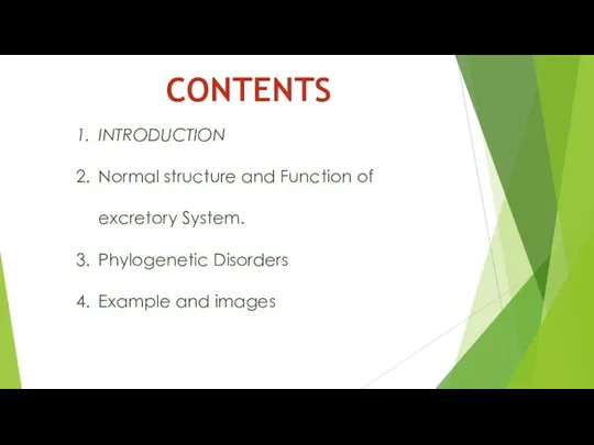 CONTENTS INTRODUCTION Normal structure and Function of excretory System. Phylogenetic Disorders Example and images