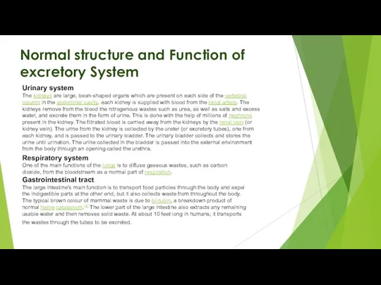 Normal structure and Function of excretory System Urinary system The kidneys are