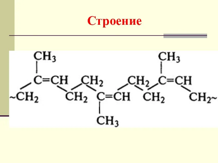 Строение