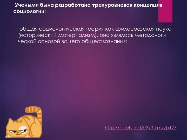 Учеными была разработана трехуровневая концепция социоло­гии: — общая социологическая теория как философская