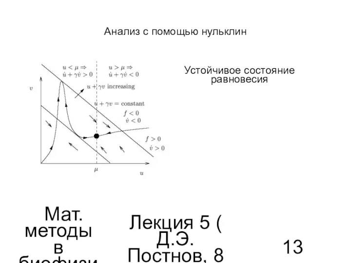 Мат. методы в биофизике Лекция 5 ( Д.Э.Постнов, 8 семестр) Анализ с