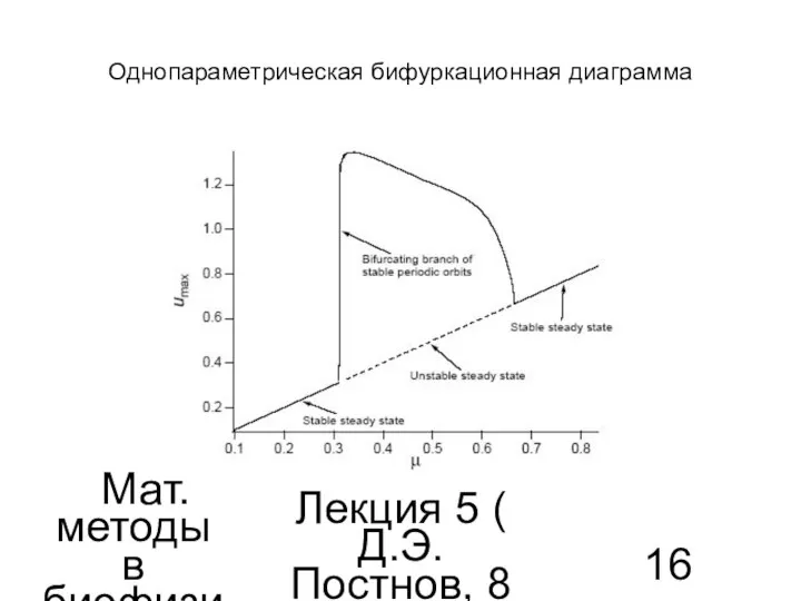 Мат. методы в биофизике Лекция 5 ( Д.Э.Постнов, 8 семестр) Однопараметрическая бифуркационная диаграмма