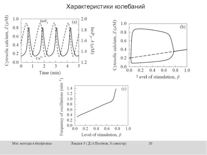 Мат. методы в биофизике Лекция 5 ( Д.Э.Постнов, 8 семестр) Характеристики колебаний