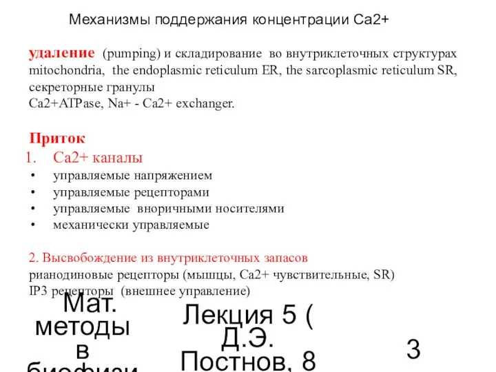 Мат. методы в биофизике Лекция 5 ( Д.Э.Постнов, 8 семестр) Механизмы поддержания