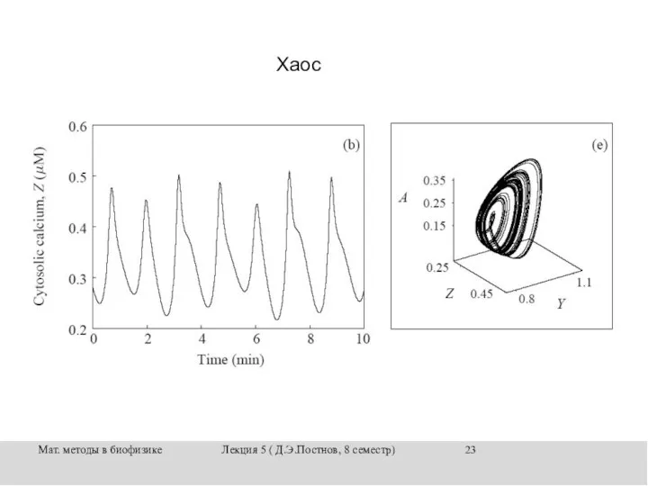 Мат. методы в биофизике Лекция 5 ( Д.Э.Постнов, 8 семестр) Хаос