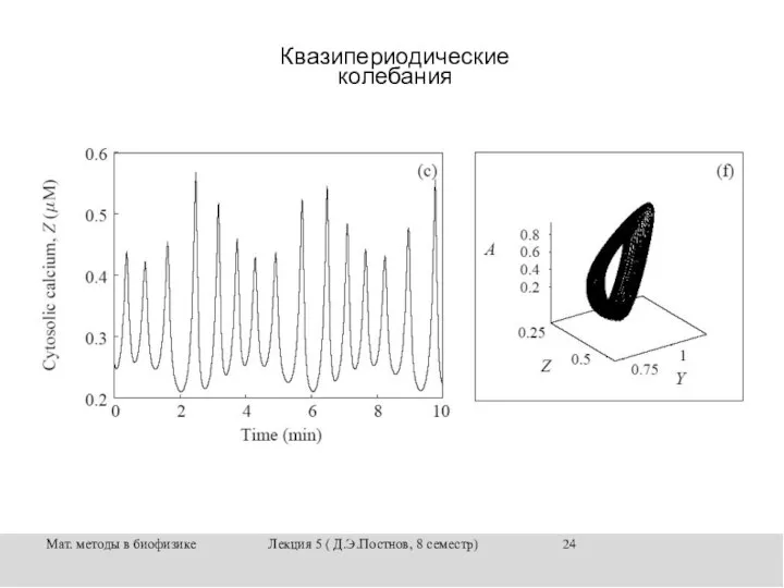 Мат. методы в биофизике Лекция 5 ( Д.Э.Постнов, 8 семестр) Квазипериодические колебания