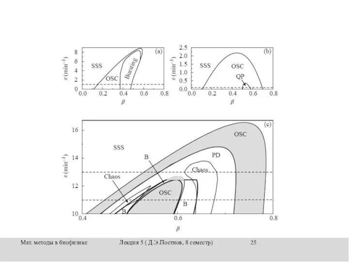 Мат. методы в биофизике Лекция 5 ( Д.Э.Постнов, 8 семестр)