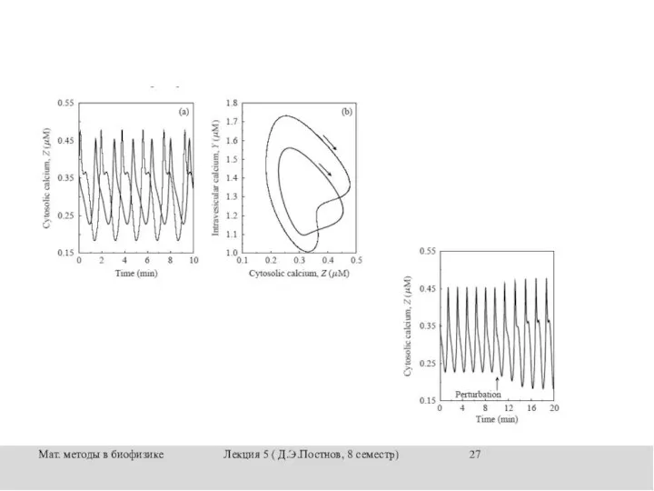 Мат. методы в биофизике Лекция 5 ( Д.Э.Постнов, 8 семестр)