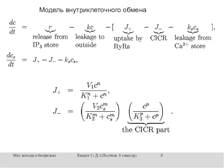 Мат. методы в биофизике Лекция 5 ( Д.Э.Постнов, 8 семестр) Модель внутриклеточного обмена