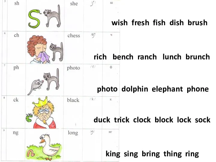 wish fresh fish dish brush rich bench ranch lunch brunch photo dolphin