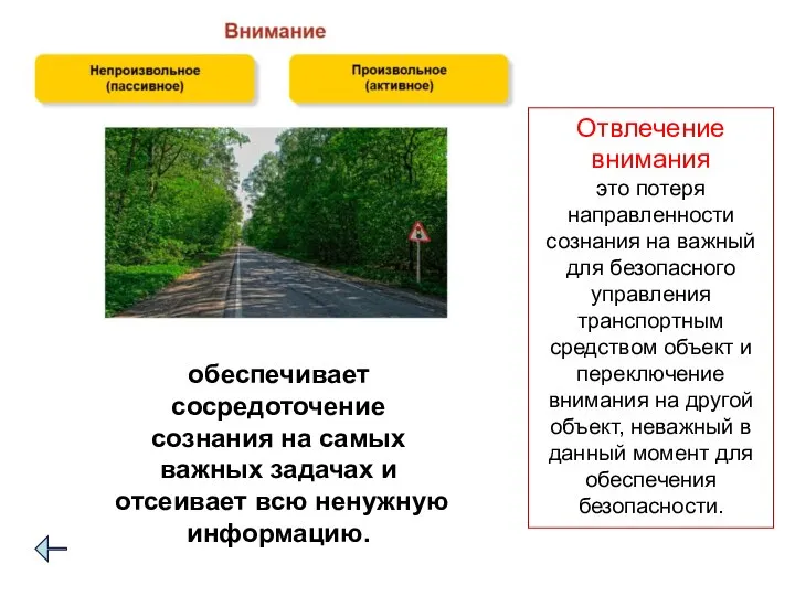 обеспечивает сосредоточение сознания на самых важных задачах и отсеивает всю ненужную информацию.