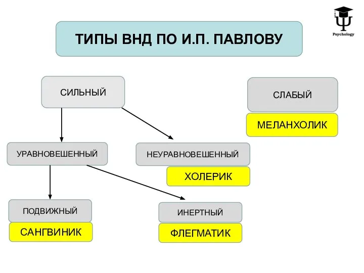 ТИПЫ ВНД ПО И.П. ПАВЛОВУ СИЛЬНЫЙ СЛАБЫЙ УРАВНОВЕШЕННЫЙ НЕУРАВНОВЕШЕННЫЙ ПОДВИЖНЫЙ ИНЕРТНЫЙ МЕЛАНХОЛИК САНГВИНИК ФЛЕГМАТИК ХОЛЕРИК