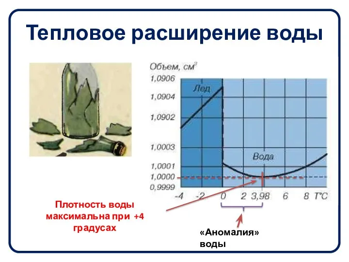 Тепловое расширение воды «Аномалия» воды Плотность воды максимальна при +4 градусах