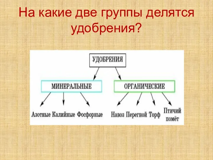 На какие две группы делятся удобрения?