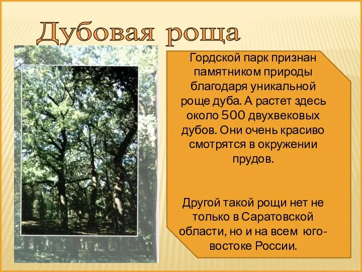 Дубовая роща Гордской парк признан памятником природы благодаря уникальной роще дуба. А