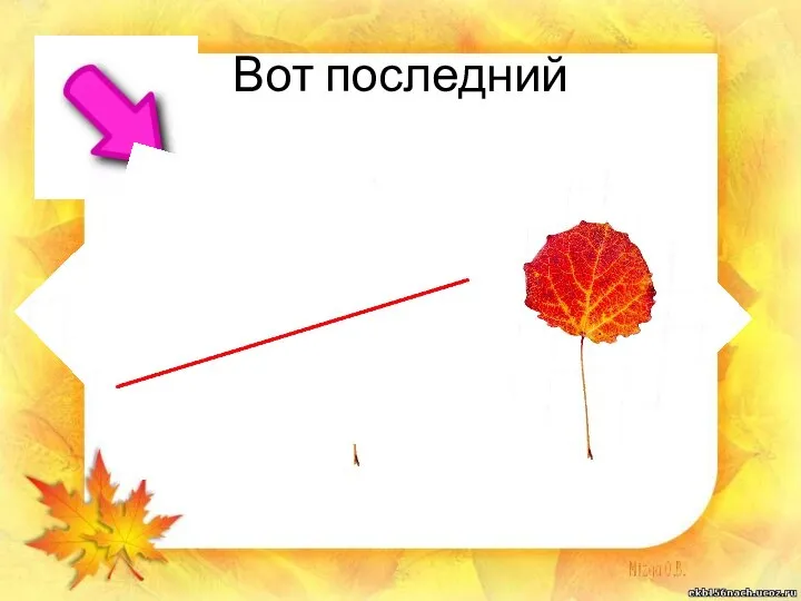 Вот последний