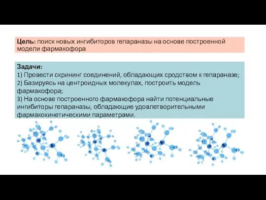 Цель: поиск новых ингибиторов гепараназы на основе построенной модели фармакофора Задачи: 1)