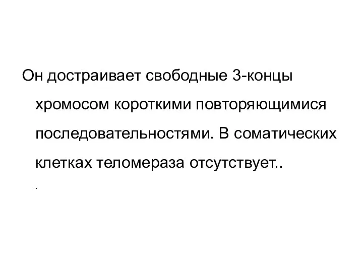 Он достраивает свободные 3-концы хромосом короткими повторяющимися последовательностями. В соматических клетках теломераза отсутствует.. .