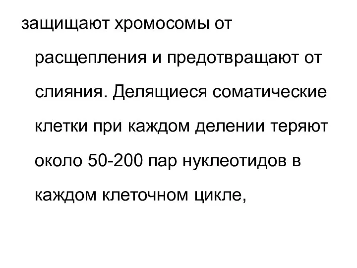 защищают хромосомы от расщепления и предотвращают от слияния. Делящиеся соматические клетки при