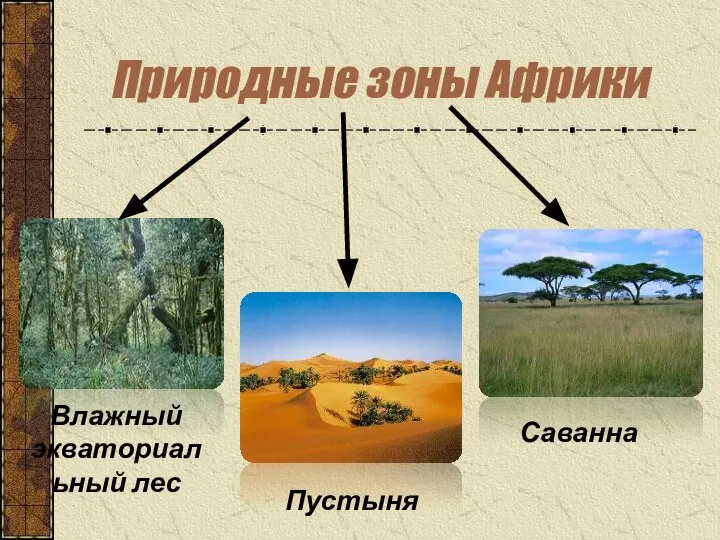 Природные зоны Африки Влажный экваториальный лес Саванна Пустыня