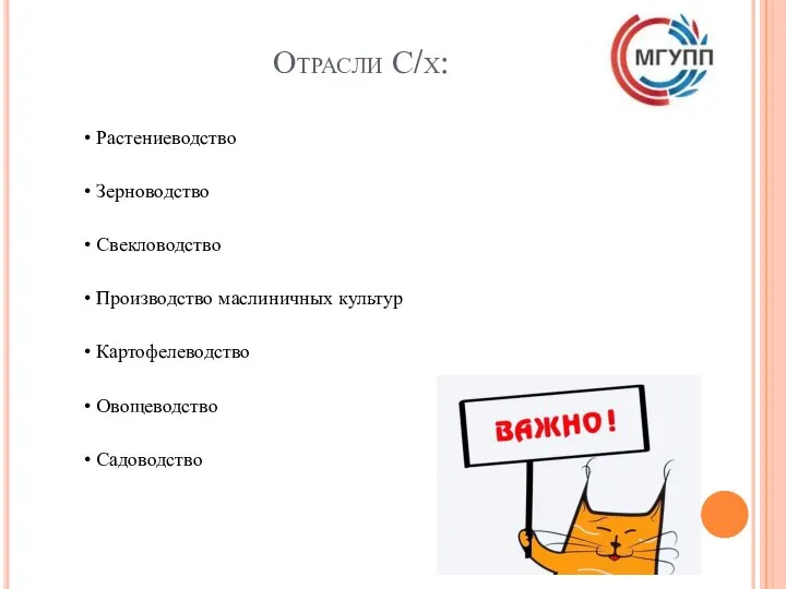 Отрасли С/х: Растениеводство Зерноводство Свекловодство Производство маслиничных культур Картофелеводство Овощеводство Садоводство