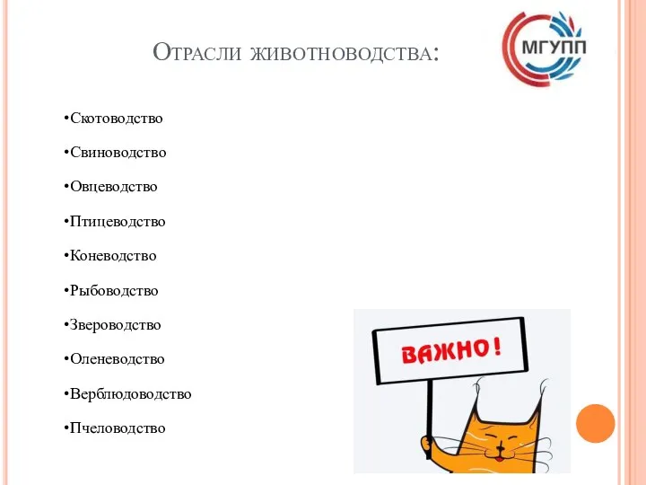 Отрасли животноводства: Скотоводство Свиноводство Овцеводство Птицеводство Коневодство Рыбоводство Звероводство Оленеводство Верблюдоводство Пчеловодство