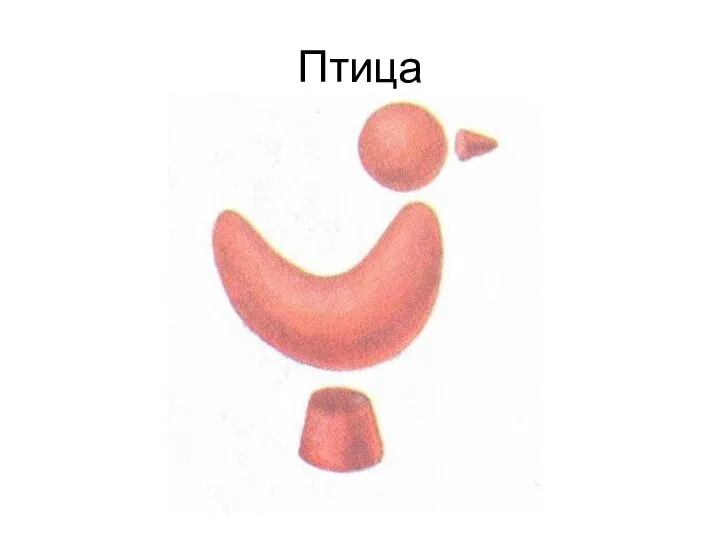 Птица