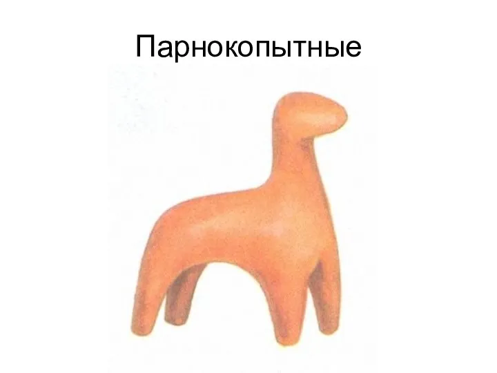 Парнокопытные