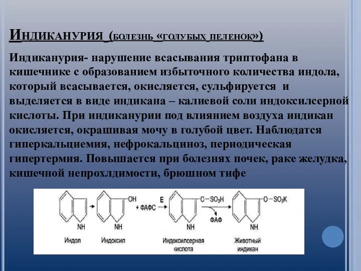 Индиканурия (болезнь «голубых пеленок») Индиканурия- нарушение всасывания триптофана в кишечнике с образованием