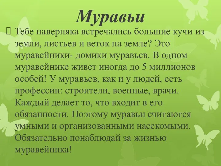 Муравьи Тебе наверняка встречались большие кучи из земли, листьев и веток на