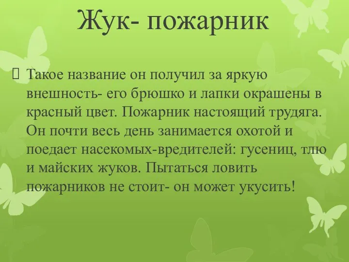 Жук- пожарник Такое название он получил за яркую внешность- его брюшко и