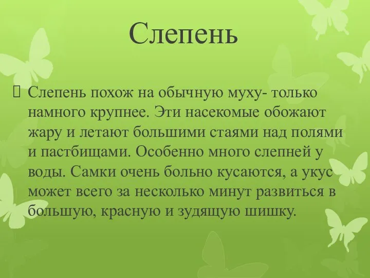 Слепень Слепень похож на обычную муху- только намного крупнее. Эти насекомые обожают