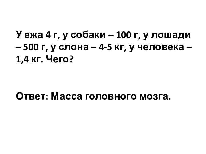 У ежа 4 г, у собаки – 100 г, у лошади –