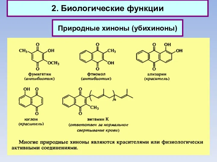 2. Биологические функции Природные хиноны (убихиноны)