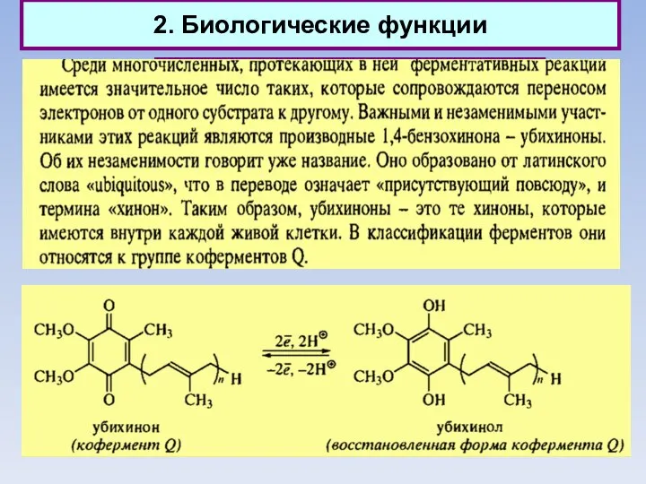 2. Биологические функции Природные хиноны (убихиноны)