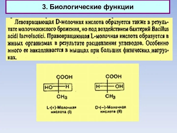 3. Биологические функции