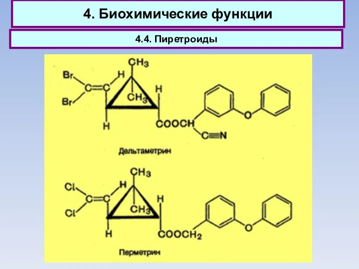 4. Биохимические функции 4.4. Пиретроиды