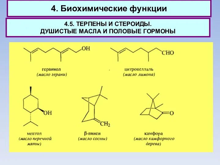 4. Биохимические функции 4.5. ТЕРПЕНЫ И СТЕРОИДЫ. ДУШИСТЫЕ МАСЛА И ПОЛОВЫЕ ГОРМОНЫ