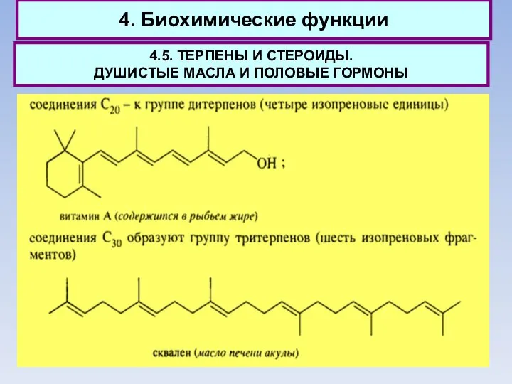 4. Биохимические функции 4.5. ТЕРПЕНЫ И СТЕРОИДЫ. ДУШИСТЫЕ МАСЛА И ПОЛОВЫЕ ГОРМОНЫ